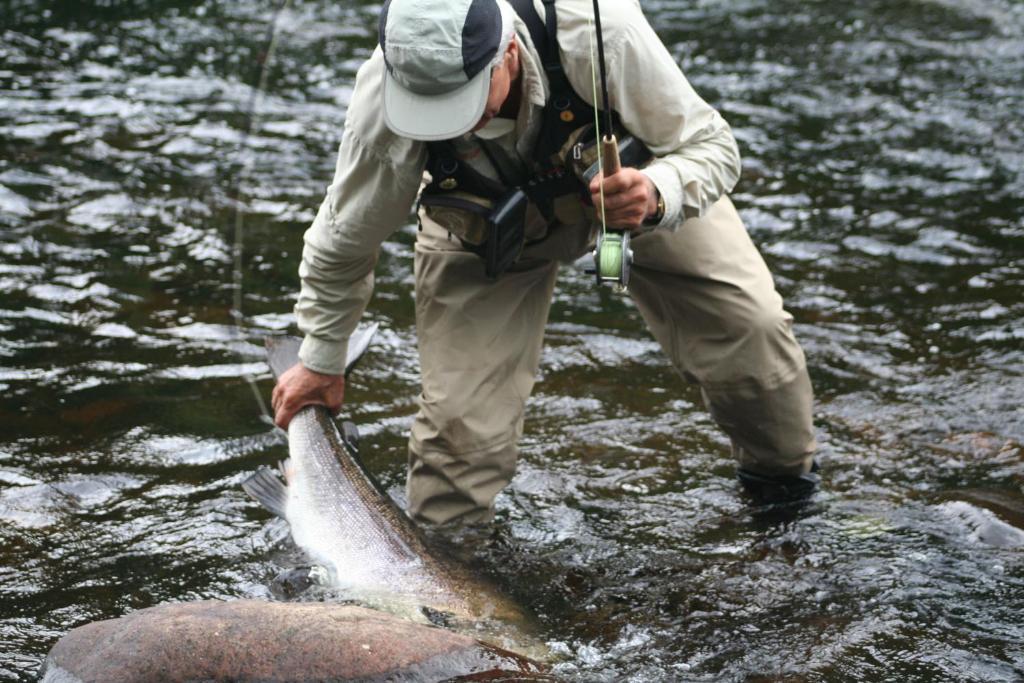 Riviere Petit Saguenay 빌라 객실 사진