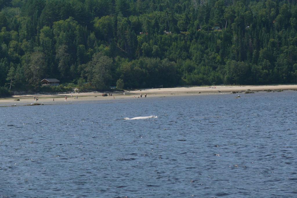 Riviere Petit Saguenay 빌라 외부 사진