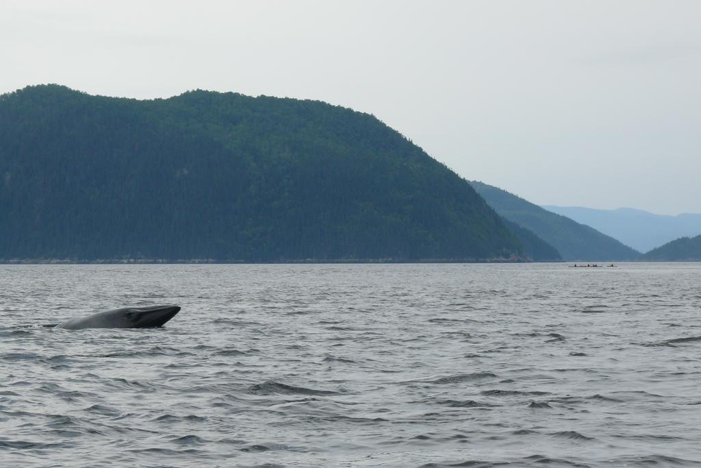 Riviere Petit Saguenay 빌라 외부 사진